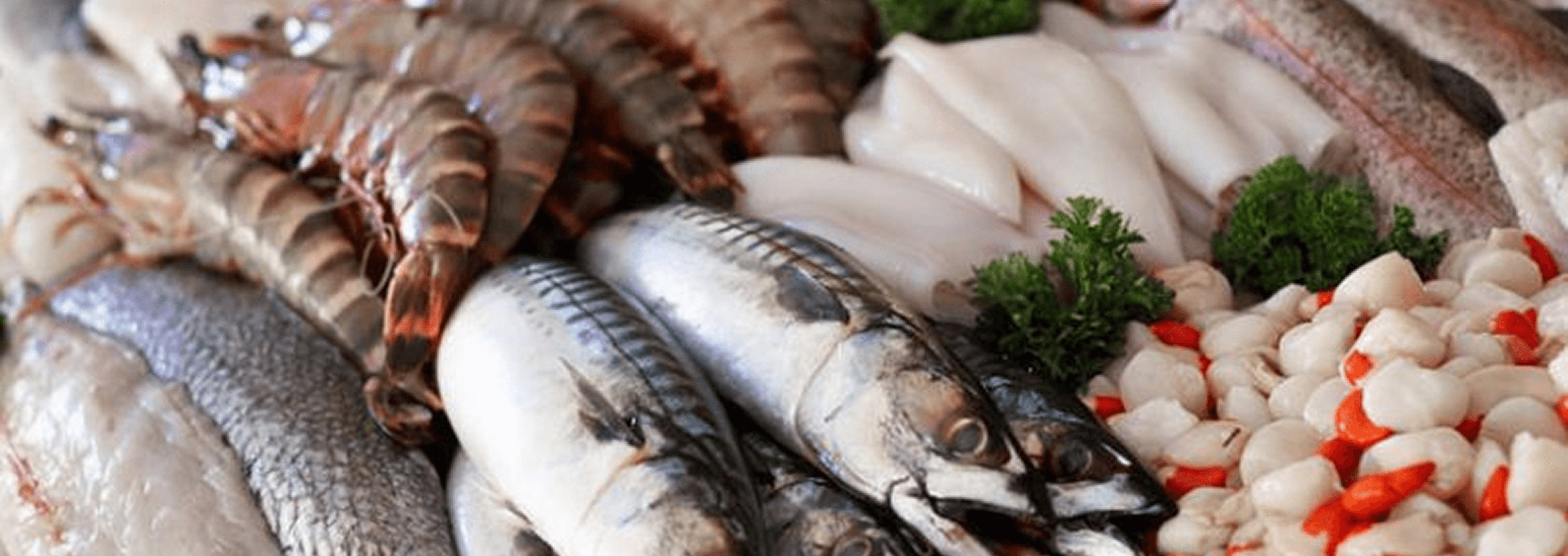 Contact Seafood Background