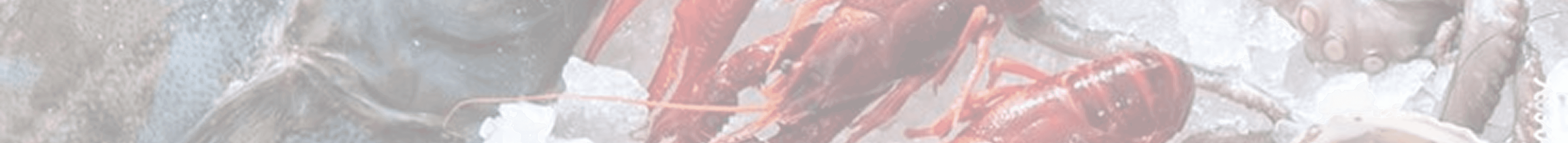 Seafood Footer Bottom Background