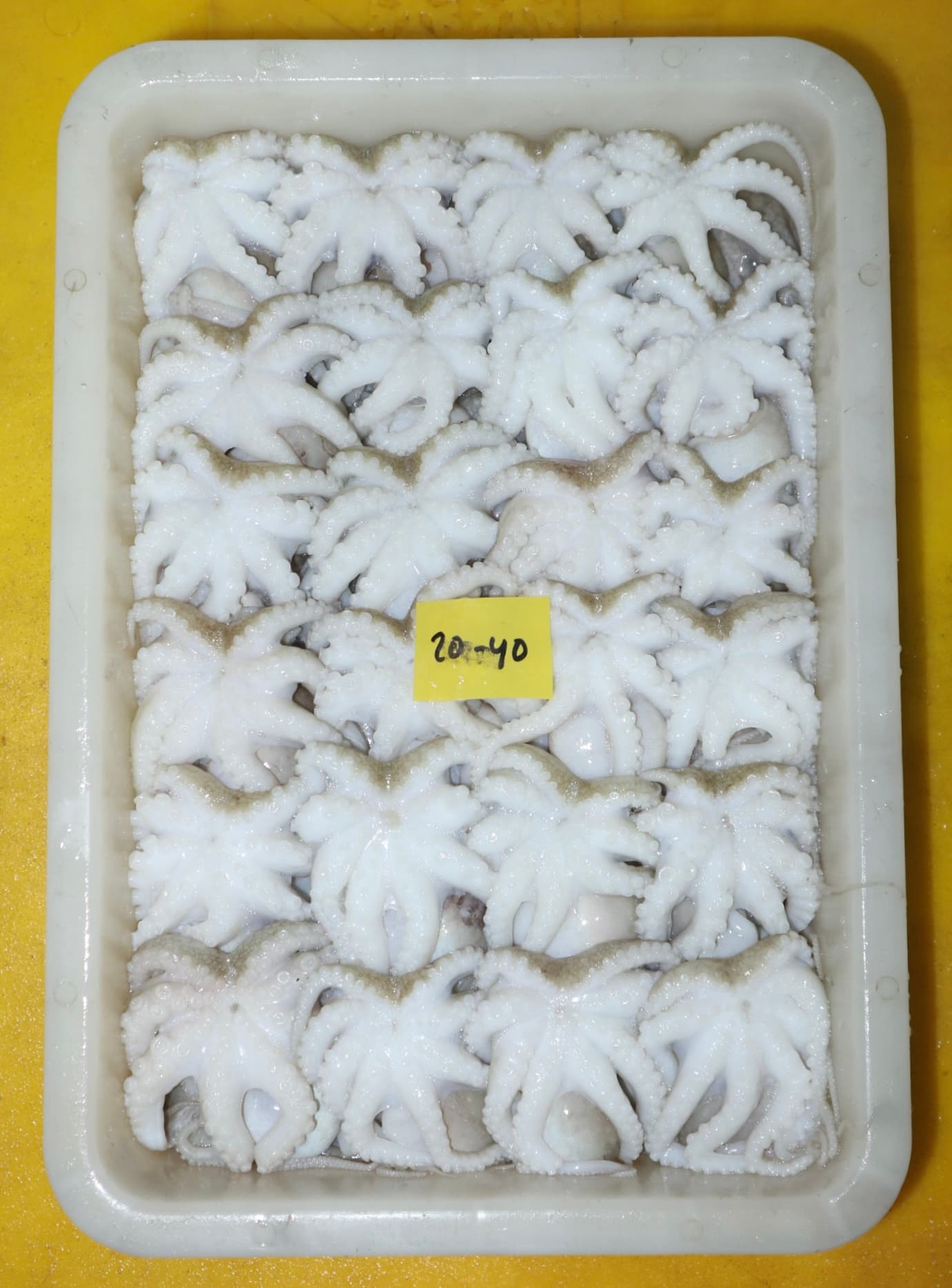 Gallery image 14