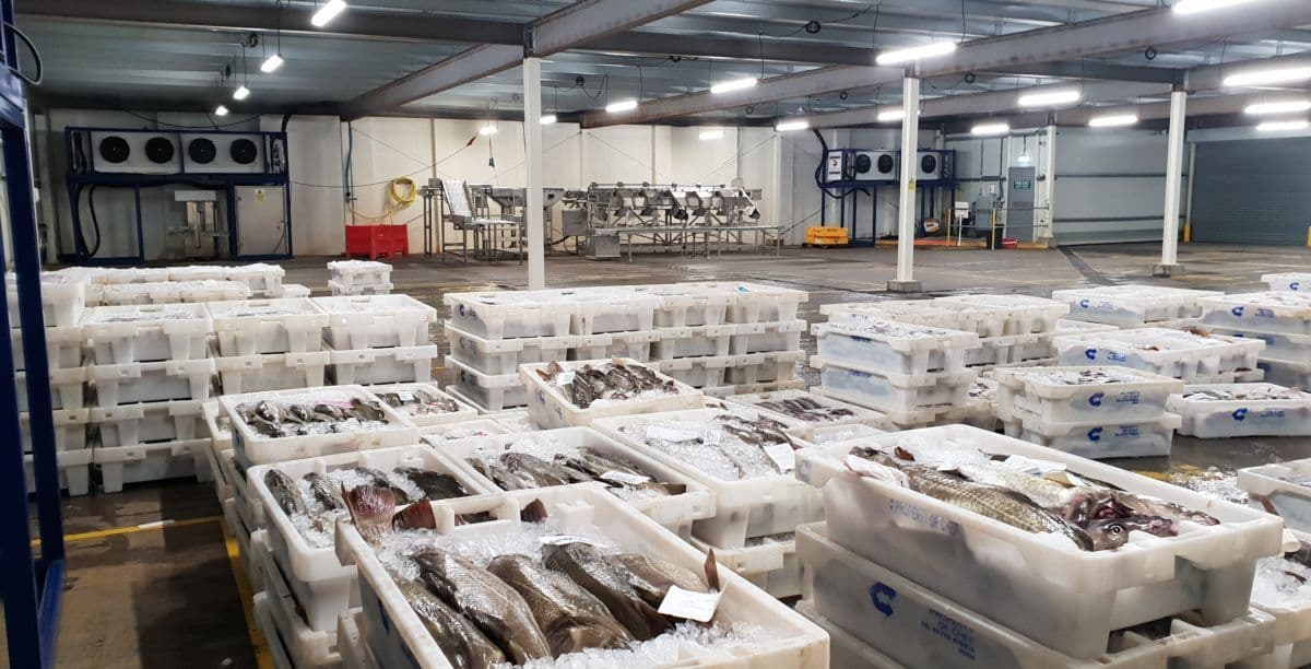 Cold Chain and Storage