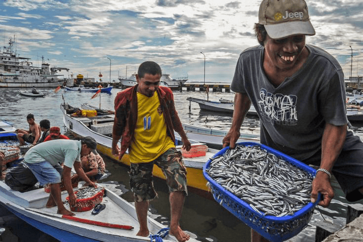 Fisherman and Fish Ponds