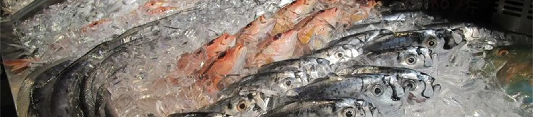 Cold Chain & Storage