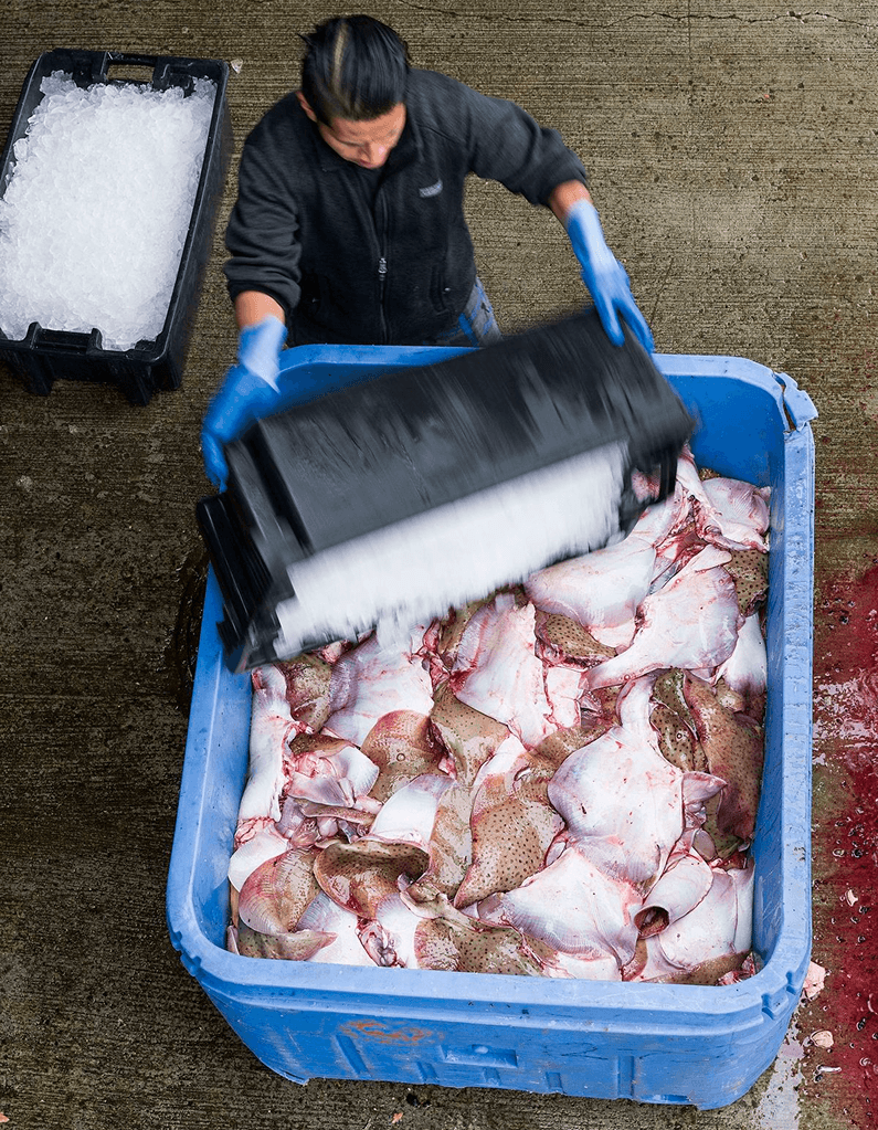 Hygienic Processing