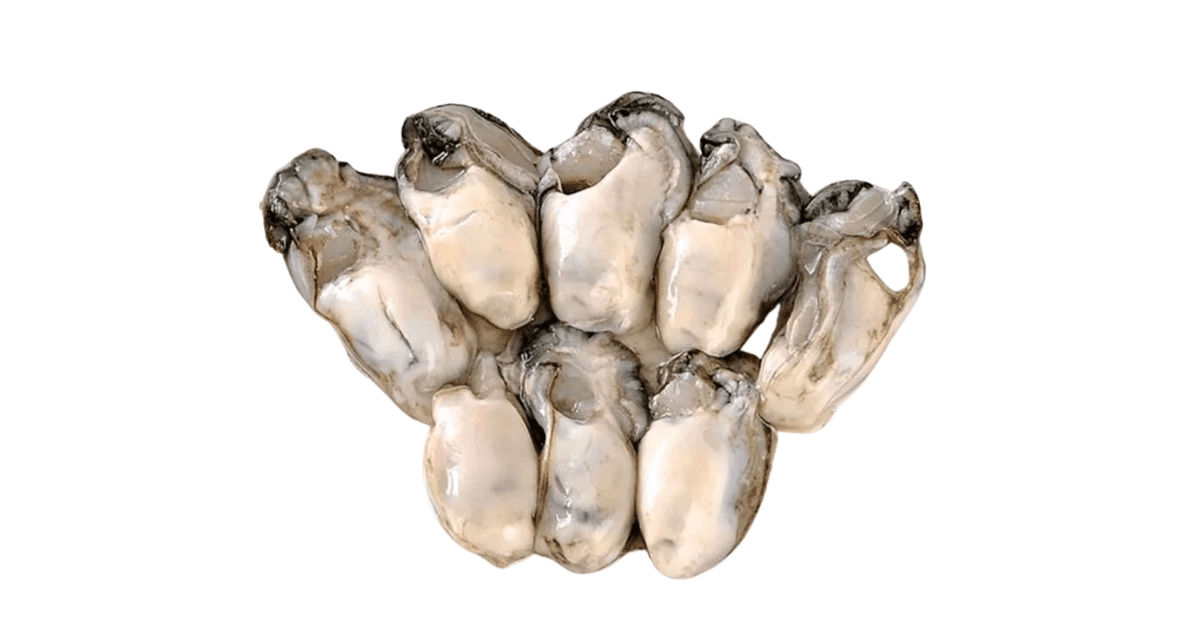 Oyster Meat
