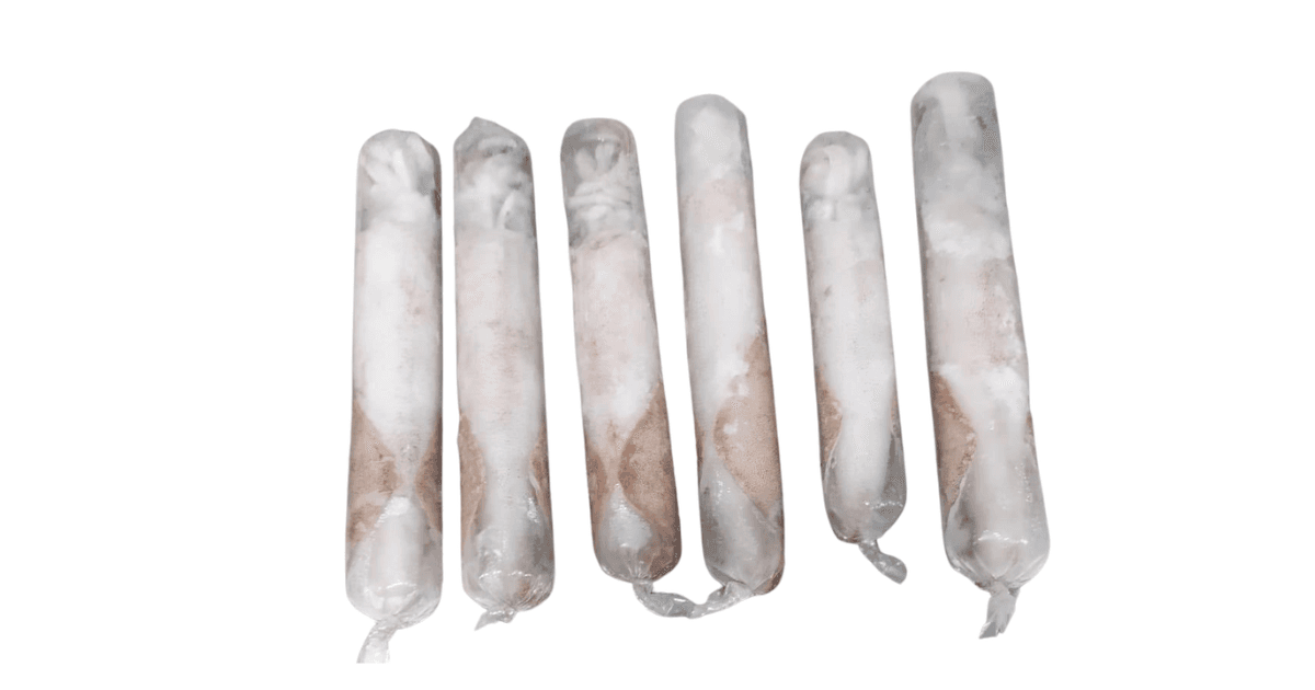 Loligo Squid